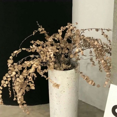 Furry绘画原创技巧FurryQQ群